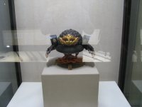 IMG_3281.JPG